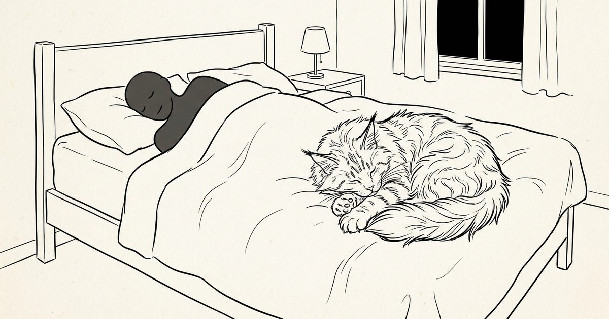 A large Maine Coon cat with fluffy brown tabby fur curled asleep on the foot of a bed beside a sleeping human silhouette, minimalist serene ink line-art sketch of a calm shared night
