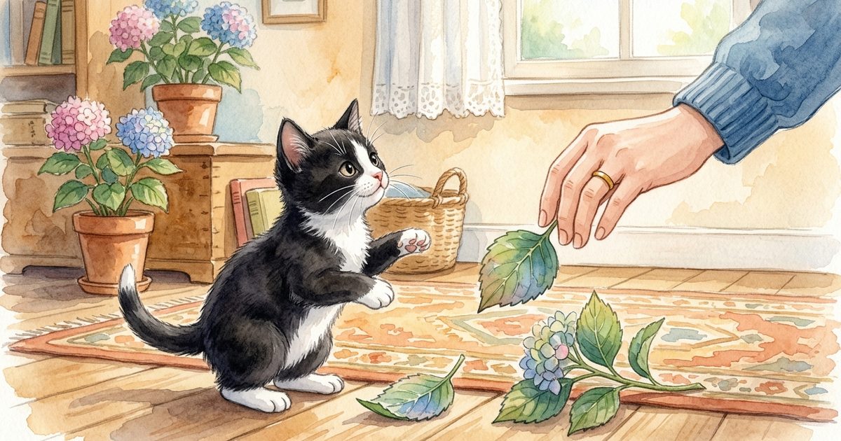 A curious tuxedo cat reaching toward a fallen hydrangea leaf as a gentle human hand lifts it away, soft watercolor storybook illustration in a warm protective guidance tone