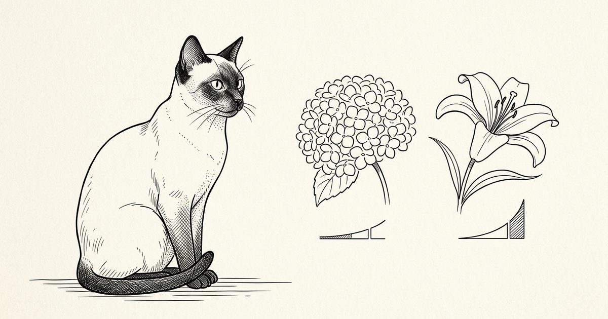 A Siamese cat beside a minimalist ink line-art sketch comparing a rounded hydrangea bloom marked mild-moderate risk and a lily marked severe kidney-failure risk side by side