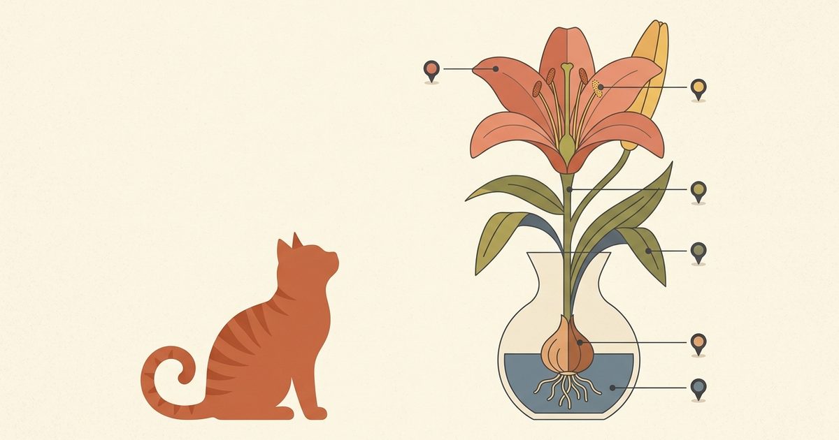 A ginger orange tabby cat beside a flat vector infographic of a lily plant, with petal, leaf, stem, pollen, bulb, and vase water labeled with caution dots