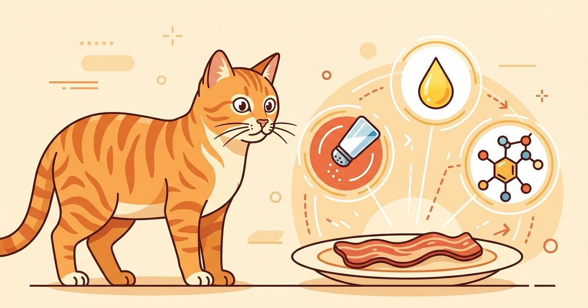 An orange tabby cat with bold mackerel stripes looking at a strip of bacon, with icons of a salt shaker, a fat droplet, and a preservative molecule radiating outward