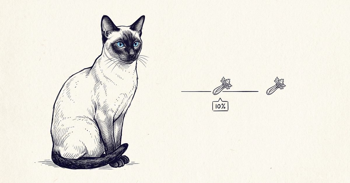 A Siamese cat with a cream body and dark seal-brown points with bright blue almond eyes beside a line-art diagram of one then two tiny celery pieces with a 10 percent treat rule label