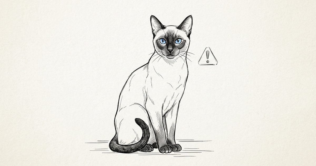 A Siamese cat with a cream body and dark seal-brown points beside a small subtle alert symbol, minimal cautioning explainer style