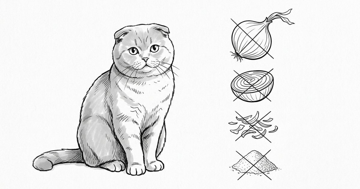 A Scottish Fold cat with folded-forward ears beside a minimalist ink line-art diagram of four onion forms — raw bulb, cooked slice, dried flakes, powder pile — each marked with an X