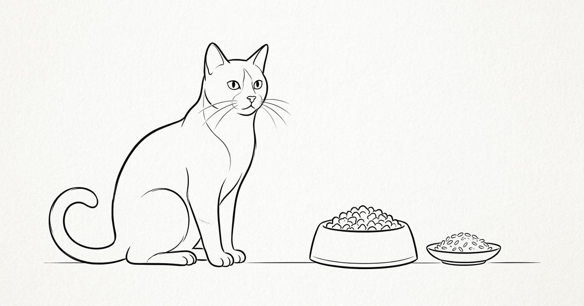 A tuxedo cat with a black coat and white paws beside a minimalist ink sketch of a balanced bowl of cat kibble with a small separate portion of plain cooked rice set aside