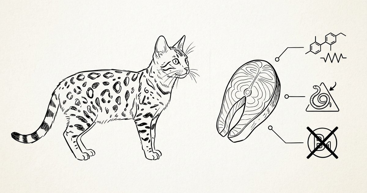 A Bengal cat with a spotted golden-brown coat in minimalist ink line-art beside a raw salmon piece with markers for thiaminase, a parasite symbol, and a crossed-out vitamin B1