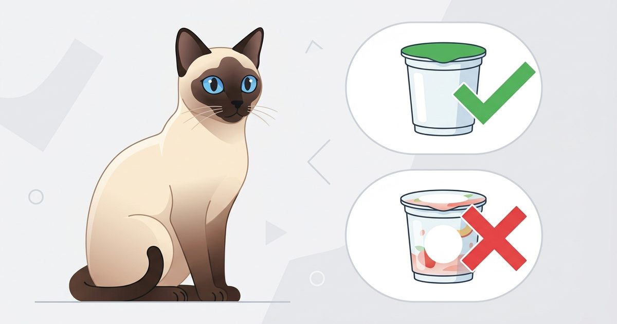 A Siamese cat with cream fur and dark seal-brown points observing a clean infographic comparing a plain yogurt cup marked with a green check beside a flavored sugar-free cup marked with a red cross