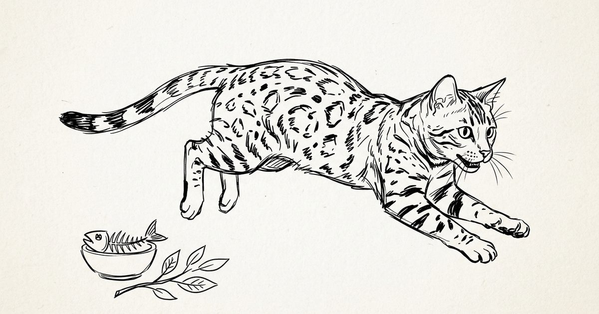 A lively Bengal cat with a wild golden-brown spotted coat drawn in minimalist ink line-art, mid-pounce with a simple balanced-diet bowl motif nearby, energetic and hopeful