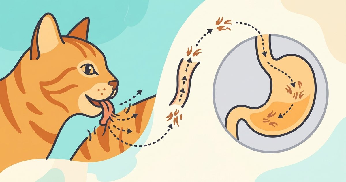 Flat modern vector illustration of a ginger orange tabby cat with mackerel stripes, stylized grooming sequence showing a barbed tongue catching loose fur traveling into a simplified stomach icon