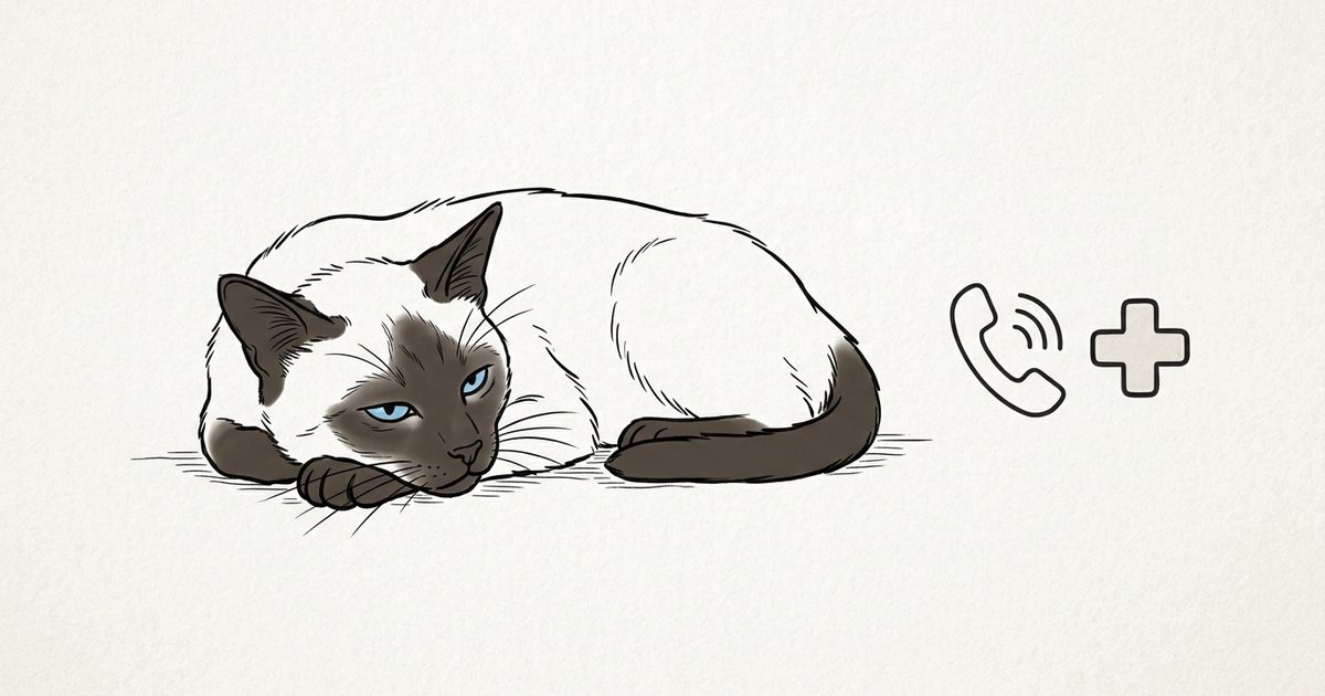 A minimalist ink sketch of a siamese cat looking unwell next to a vet-emergency phone symbol