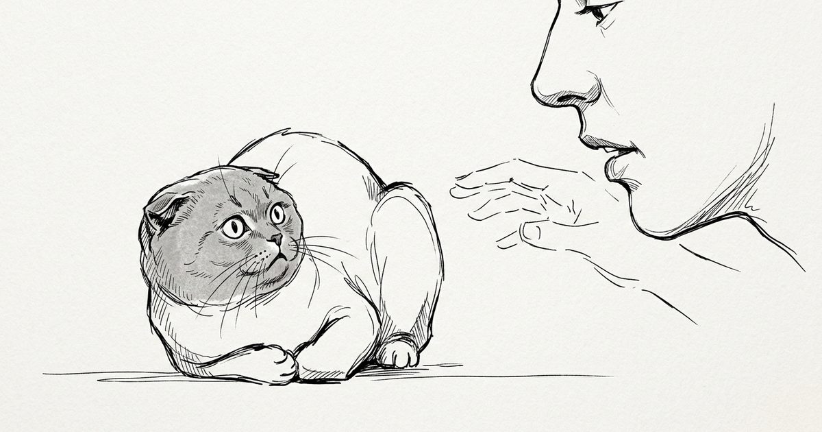 A Scottish Fold cat with distinctive folded-forward ears and a round gray face pulling its head back slightly from an approaching human face, ears turned, tense uncomfortable posture, minimalist ink line-art sketch on clean background