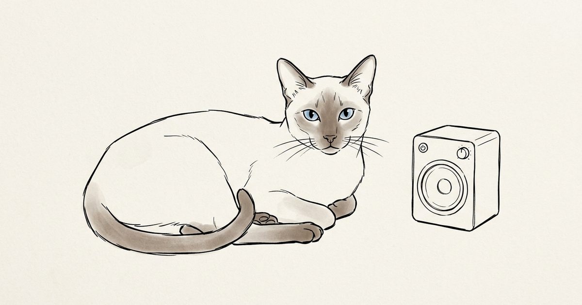 A Siamese cat with a cream body and dark seal-brown points and bright blue almond eyes resting calmly near a small speaker, minimalist clean ink line drawing