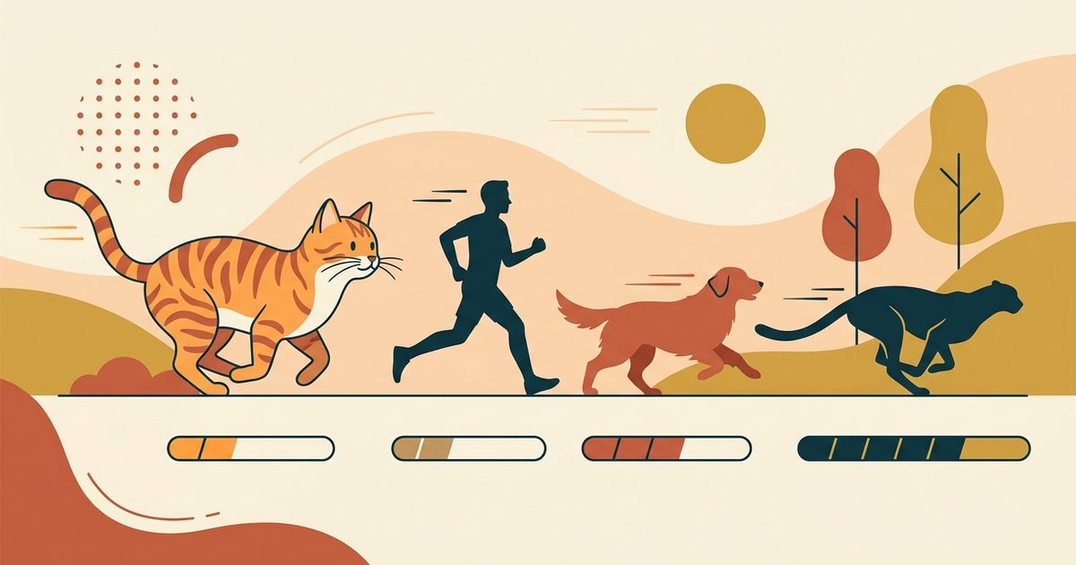 A flat modern vector infographic of an orange tabby cat beside simple silhouettes of a human, a dog, and a cheetah, each with a minimal speed bar beneath, warm editorial palette
