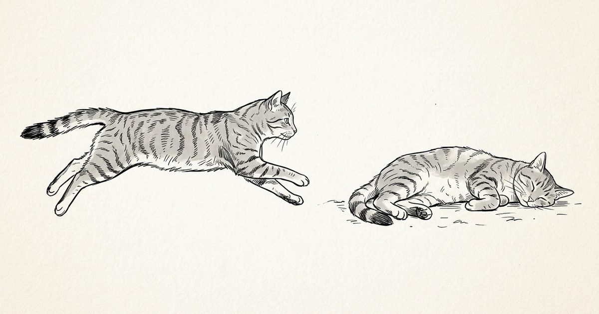 A gray tabby cat with dark charcoal stripes as an ink line-art sketch, two minimalist poses — one mid-sprint fully extended, one collapsed in relaxed rest, capturing the sprint-then-recover contrast