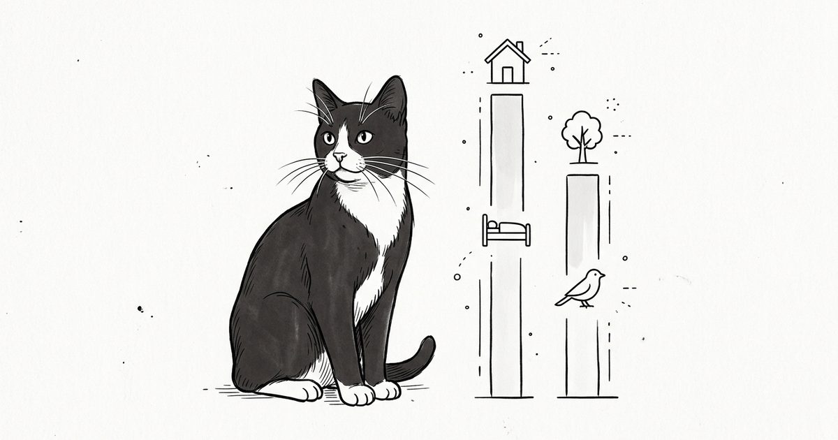 A tuxedo cat with a black coat and a white chest, paws, and whiskers sits beside simple ink line-art lifespan range bars in a minimalist infographic